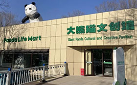 秦皇岛可以引入第三只大熊猫（2026-03-19）